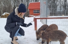 Зимний отдых на острове ЛОДЭ_10