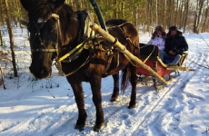 Зимний отдых на острове ЛОДЭ_14